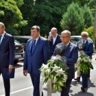 zdjęcie nr 12
