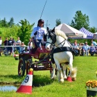 zdjęcie nr 51