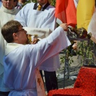 zdjęcie nr 25