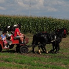 zdjęcie nr 70