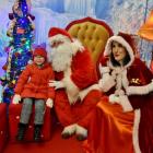 zdjęcie nr 42