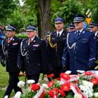 zdjęcie nr 50