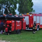 zdjęcie nr 10
