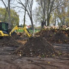zdjęcie nr 6