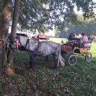 zdjęcie nr 24