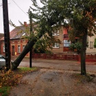 zdjęcie nr 14