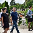 zdjęcie nr 29