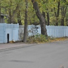 Powalone drzewa w Kościanie (3)