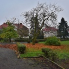 zdjęcie nr 6