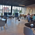 zdjęcie nr 8