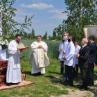 zdjęcie nr 84