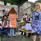 zdjęcie nr 14