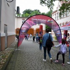 zdjęcie nr 41