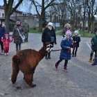 zdjęcie nr 17