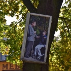 zdjęcie nr 21