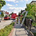 zdjęcie nr 8