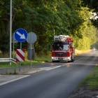 zdjęcie nr 7