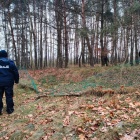 Tragiczny finał poszukiwań koło Lubinia (5)