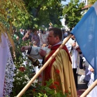 zdjęcie nr 33