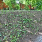 zdjęcie nr 16