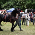zdjęcie nr 15