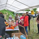 zdjęcie nr 80