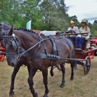 zdjęcie nr 47