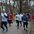 zdjęcie nr 22