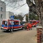 zdjęcie nr 7