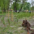 zdjęcie nr 23