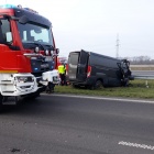 zdjęcie nr 15