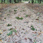 zdjęcie nr 8