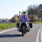 zdjęcie nr 10