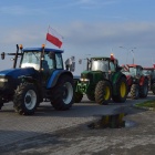 zdjęcie nr 10