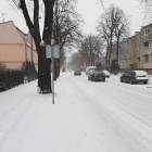 zdjęcie nr 1