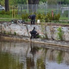 zdjęcie nr 13