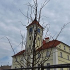 Rynek Kościan, kwiecień 2023 (1)