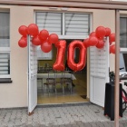 zdjęcie nr 6