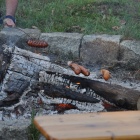 zdjęcie nr 28