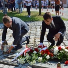 zdjęcie nr 42