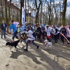 zdjęcie nr 19