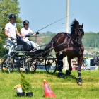 zdjęcie nr 55