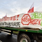 zdjęcie nr 37