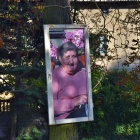 zdjęcie nr 12
