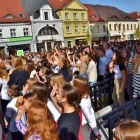 zdjęcie nr 24