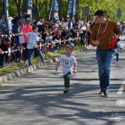 zdjęcie nr 31