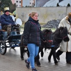 zdjęcie nr 14