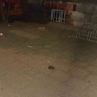 Przepełnione kosze na śmieci (2)