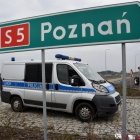 zdjęcie nr 11