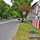 zdjęcie nr 5